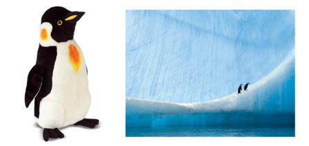 Пингвины живут в Антарктиде - Кто где живет (детям) - Волошины.РФ